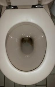 urinesteen onderin toiletpot