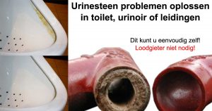 Urinesteen problemen oplossen in toilet of urinoir